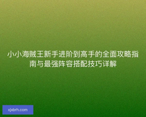 小小海贼王新手进阶到高手的全面攻略指南与最强阵容搭配技巧详解