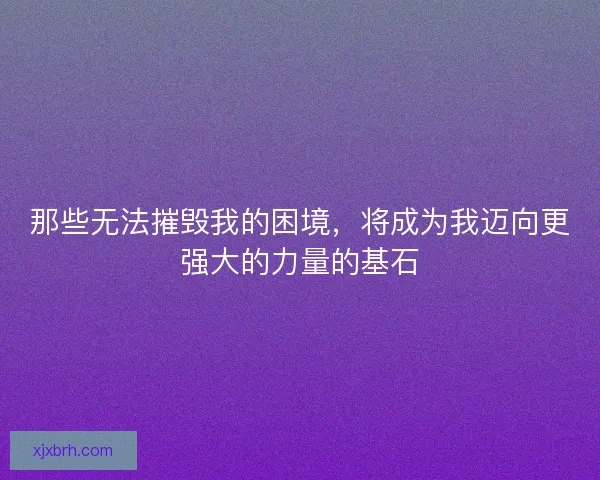 那些无法摧毁我的困境，将成为我迈向更强大的力量的基石